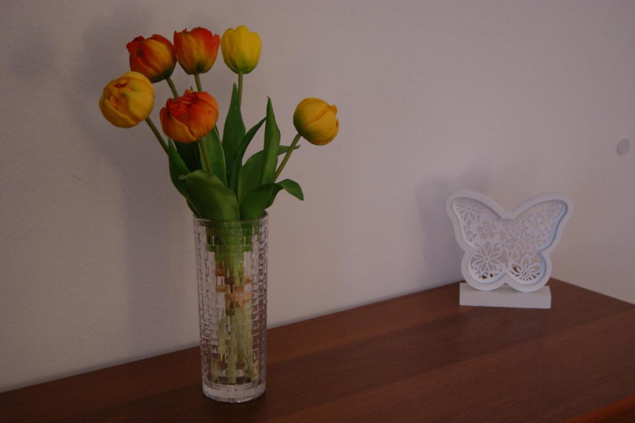 Apartment Lynx Korenica Eksteriør billede